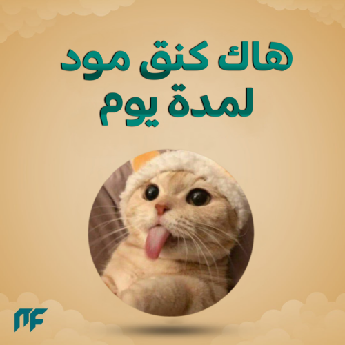 كنق مود يوم