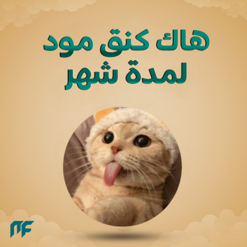 كنق مود شهر